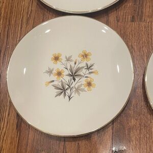 Vintage Set of 6 Elegant Floral Cream Edwin Knowles Dessert Plates 6.5” Diameter